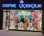 Defne Çiçekçilik Kilis Çiçekçi